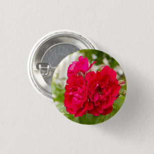 Badge Rond 2,50 Cm Grandes roses rouges dans le jardin