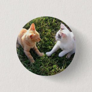 Badge Rond 2,50 Cm HAMbWG - Bouton Carré - 2 chats