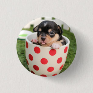 Badge Rond 2,50 Cm HAMbWG - Square Button - Teacup Puppy