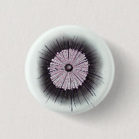 Heliozoa Microbe Microbiologie Art numérique