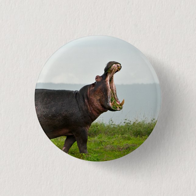 Badge Rond 2,50 Cm Hippopotamus de la faune (Devant)