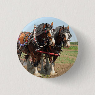 Badge Rond 2,50 Cm Horse Clydesdale Agriculture Photo