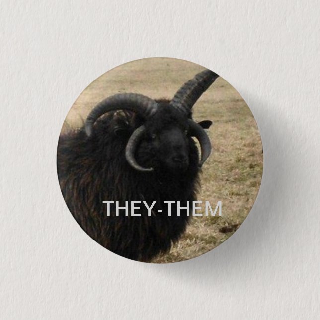 Badge Rond 2,50 Cm "-ils" avec la chèvre sérieuse (Devant)