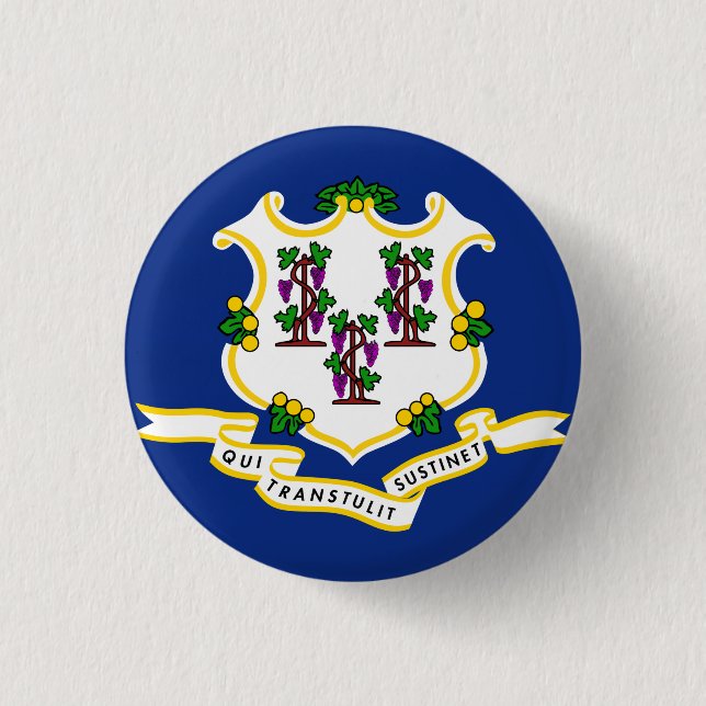 Badge Rond 2,50 Cm Indicateur d'état Connecticut (Devant)