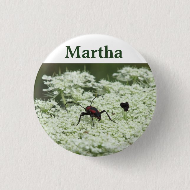 Badge Rond 2,50 Cm Insecte sur fleurs d'Elderflower (Devant)