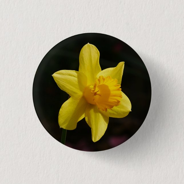 Badge Rond 2,50 Cm Insigne de jonquille (Devant)