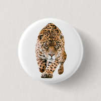 Jaguar Eyes