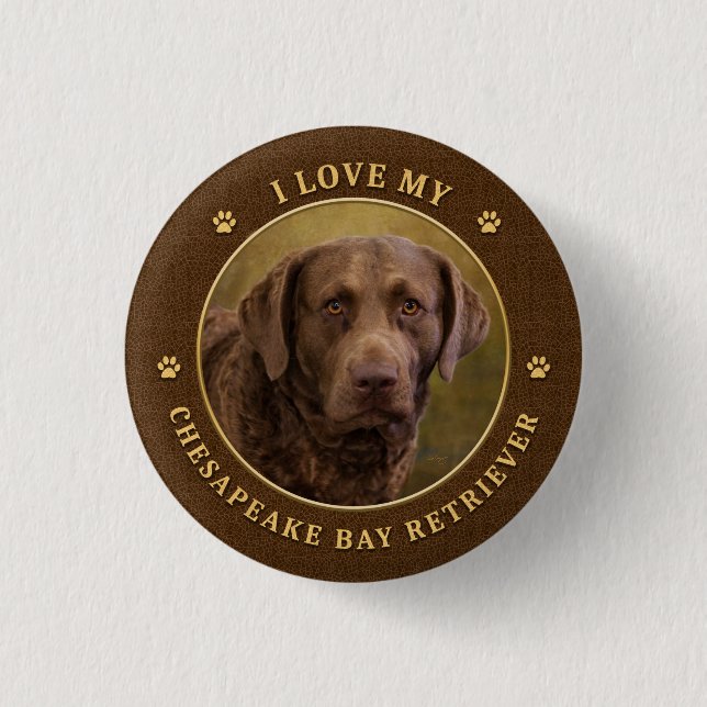 Badge Rond 2,50 Cm J'aime mon bouton Retriever Chesapeake Bay (Devant)