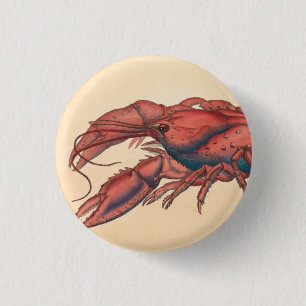 Badge Rond 2,50 Cm James Sowerby Homard serbé