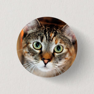 Badge Rond 2,50 Cm Joli bouton de chat de Kitty