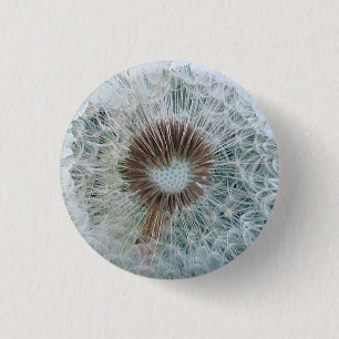 Badge Rond 2,50 Cm Joli Dandelion blanc