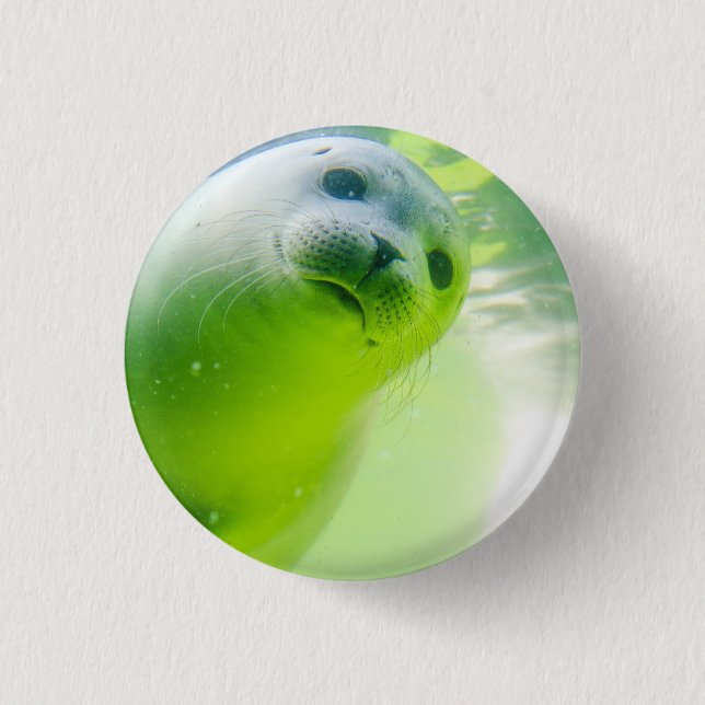Badge Rond 2,50 Cm Joli Phoque Amical Sous L'Eau (Devant)