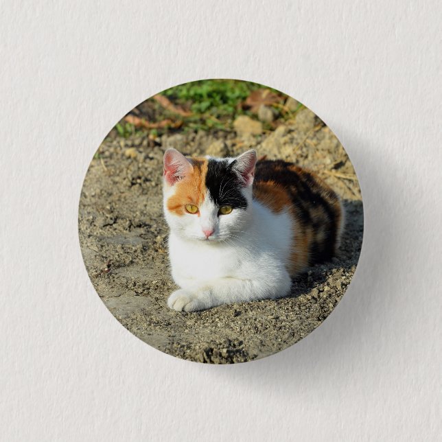 Badge Rond 2,50 Cm Jolie photo de chat Calico (Devant)