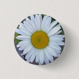 Badge Rond 2,50 Cm Jolie photo White Daisy