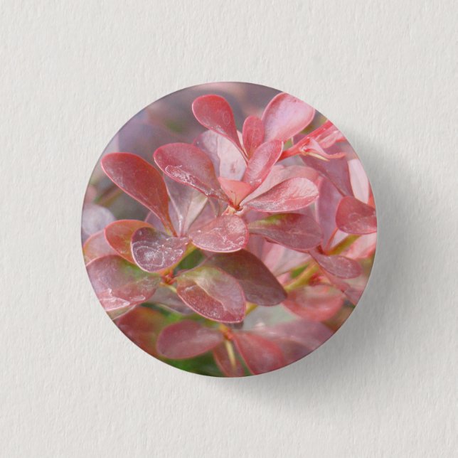 Badge Rond 2,50 Cm Jolies branches roses (Devant)