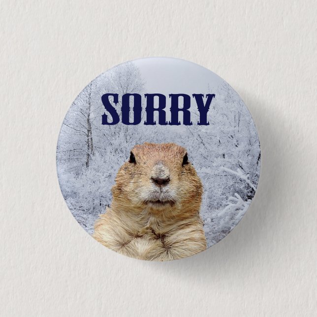 Badge Rond 2,50 Cm Jour de marmotte Désolés (Devant)