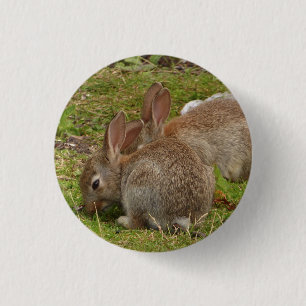 Badge Rond 2,50 Cm jumeaux identiques