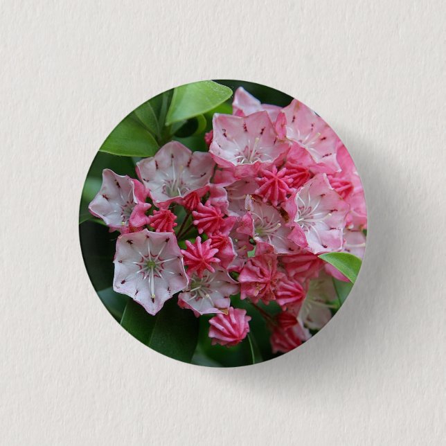 Badge Rond 2,50 Cm Kalmias en forme d'étoile (Devant)