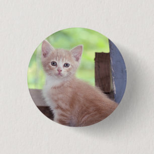 Badge Rond 2,50 Cm Kitten