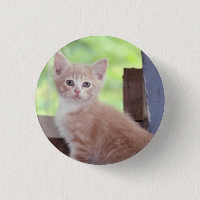 Badge Rond 2,50 Cm Kitten (Devant)
