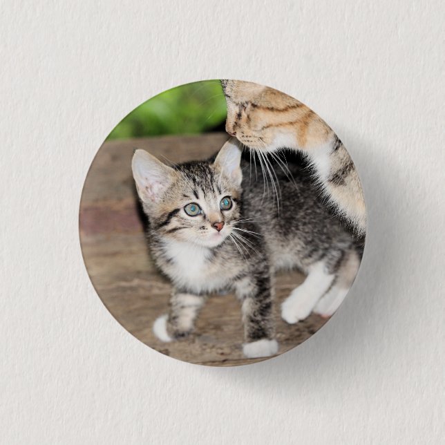 Badge Rond 2,50 Cm Kitten (Devant)