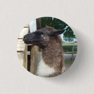 Badge Rond 2,50 Cm Lama