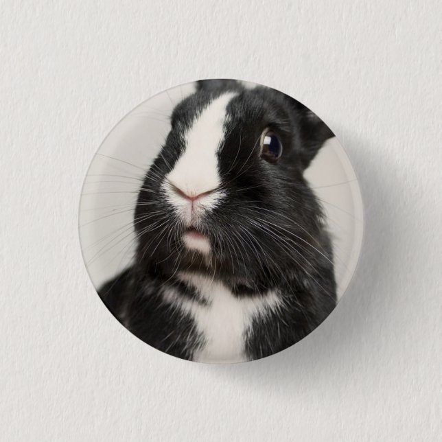 Badge Rond 2,50 Cm Lapin lapin noir et blanc Startted (Devant)