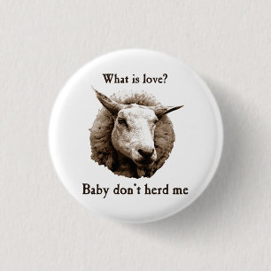 Badge Rond 2,50 Cm Le bébé ne me vivent pas en troupe des moutons