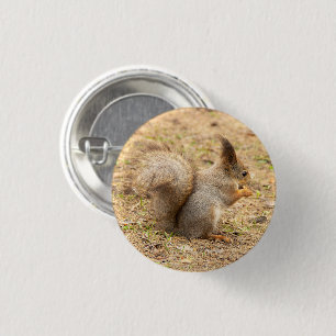 Badge Rond 2,50 Cm L'écureuil mignon mange une photo de noix