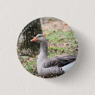 Badge Rond 2,50 Cm Liquide