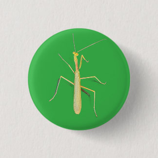 Badge Rond 2,50 Cm Mantis sans mouvement,