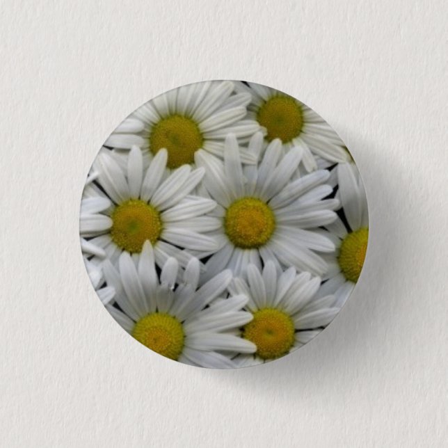 Badge Rond 2,50 Cm Marguerites blanches (Devant)