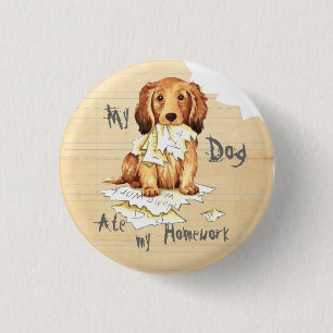 Badge Rond 2,50 Cm Mon Dachshund allongé a mangé mes devoirs