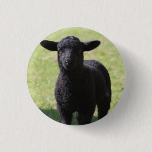 Badge Rond 2,50 Cm Mouton noir - Bouton
