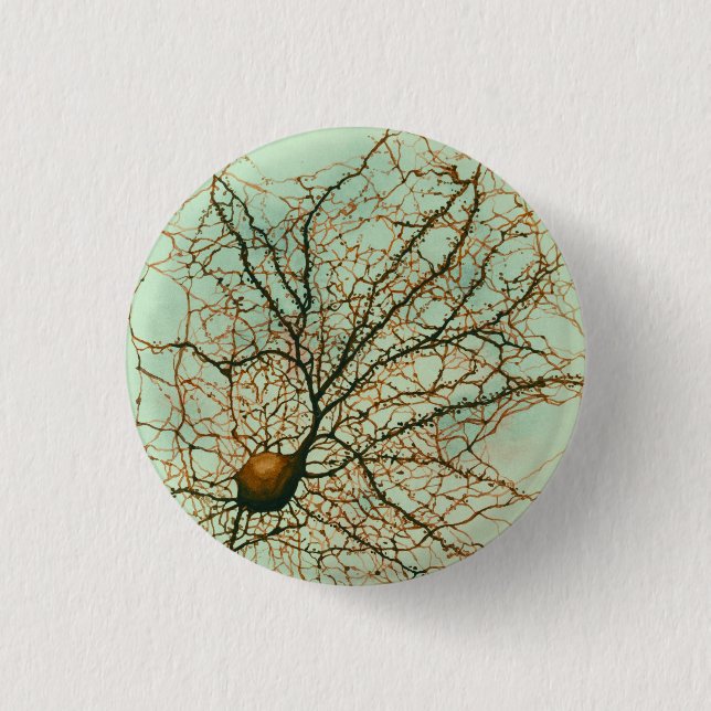 Badge Rond 2,50 Cm neurone hippocampal - bouton et Pin (Devant)