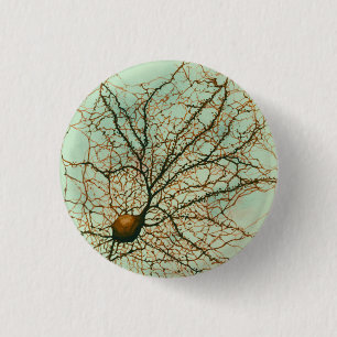 Badge Rond 2,50 Cm neurone hippocampal - bouton et Pin