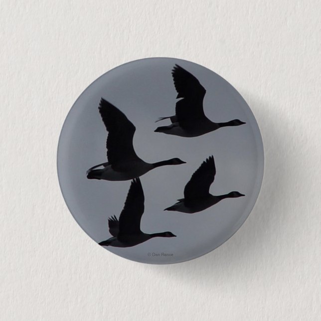 Badge Rond 2,50 Cm Oies B46 canadiennes en vol (Devant)