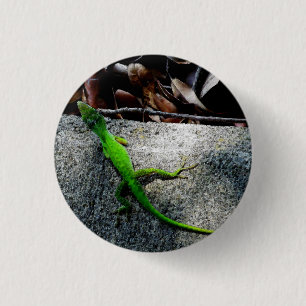 Badge Rond 2,50 Cm Onglet 6704