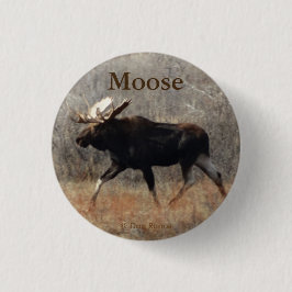 Badge Rond 2,50 Cm Orignaux de M10 Taureau