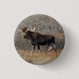 Badge Rond 2,50 Cm Orignaux de M8 Taureau