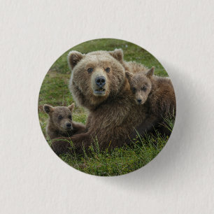 Badge Rond 2,50 Cm Ours bruns oursons câlinant leur mère
