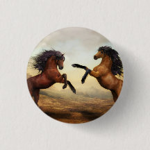paire de chevaux sauvages