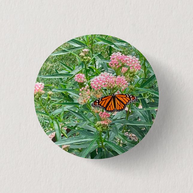Badge Rond 2,50 Cm Papillon Monarque sur Milkweed (Devant)