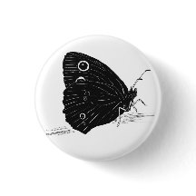 Papillon Monochrome