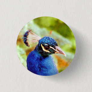 BADGE ROND 2,50 CM PEACOCK