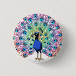 Badge Rond 2,50 Cm Peacock coloré