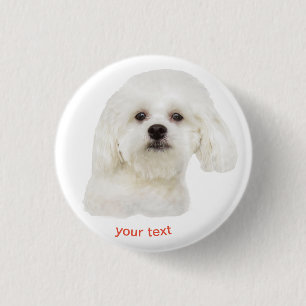 Badge Rond 2,50 Cm Personnaliser le chiot maltais