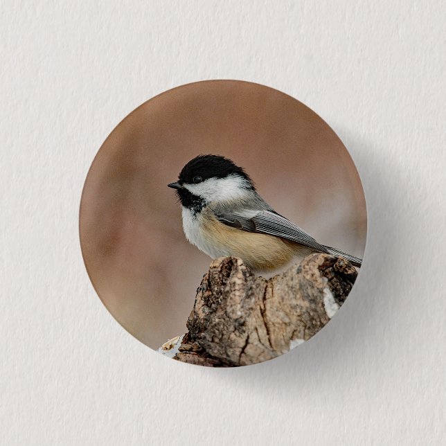 Badge Rond 2,50 Cm Photo Black Capped Chickadee Snow (Devant)