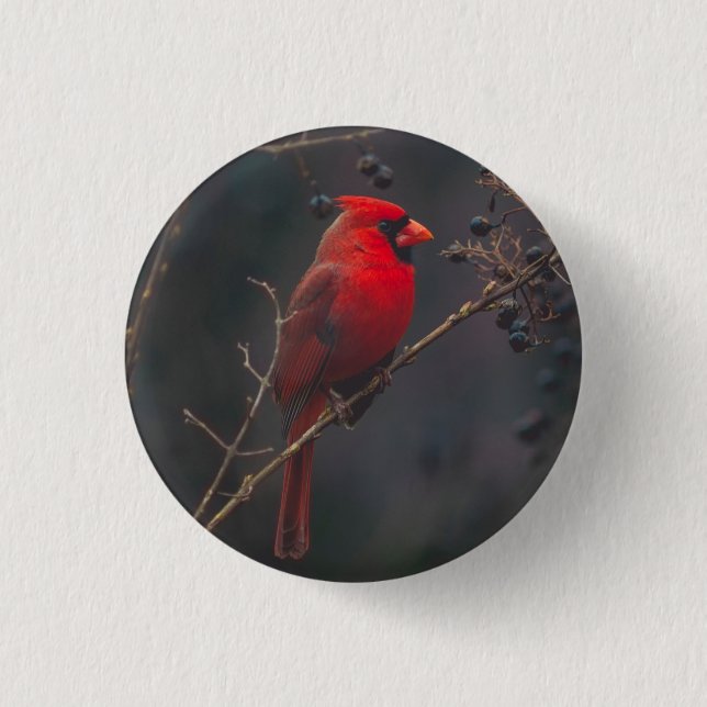 Badge Rond 2,50 Cm Photo du cardinal rouge de la faune (Devant)