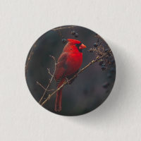 Photo du cardinal rouge de la faune